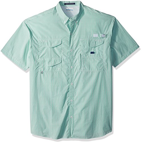 Kelp Gingham