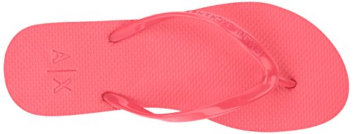 Rose Coral