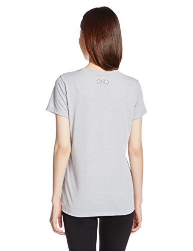 Overcast Gray (941)/Metallic Silver