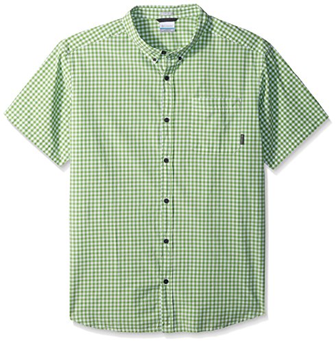 Spring Gingham