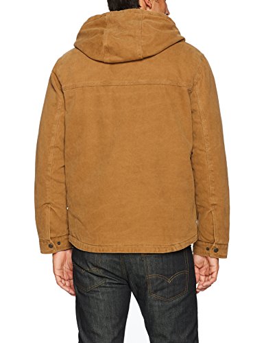 Workers Brown