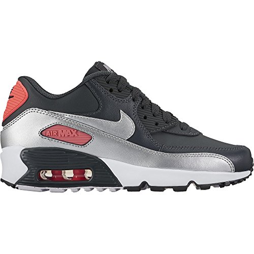 Anthracite/Metallic Silver