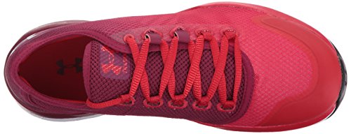 Black Currant (600)/Red