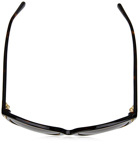 Dark Tortoise Acetate/Brown Gradient