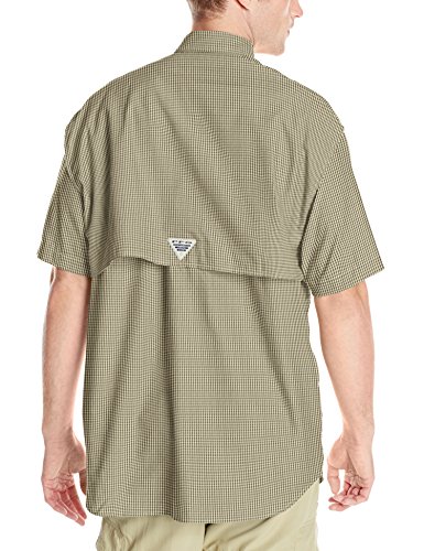 Cypress Gingham