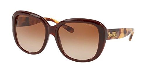 Dark Honey Solid/Brown Gradient