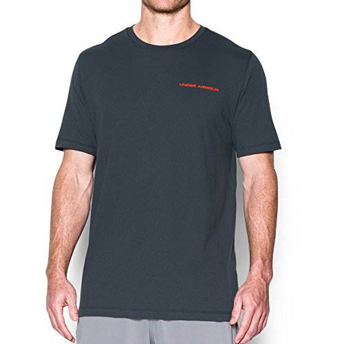 Stealth Gray (008)/Phoenix Fire