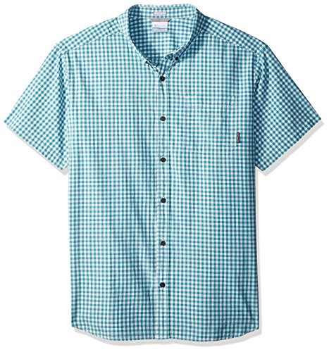 Teal Gingham