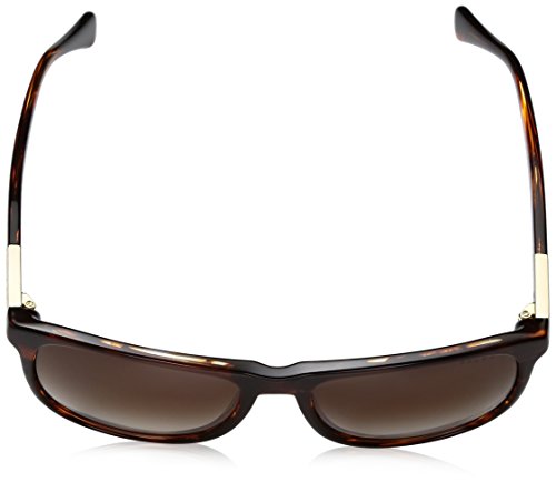 Striated Brown
