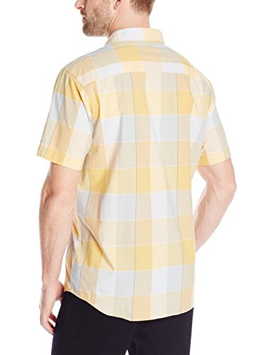 Lion Large Plaid