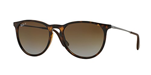 Havana/polarized Brown Gardient