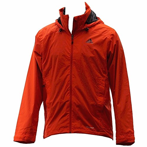 Bold Orange