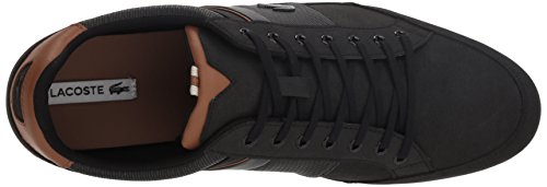 Black/Brown