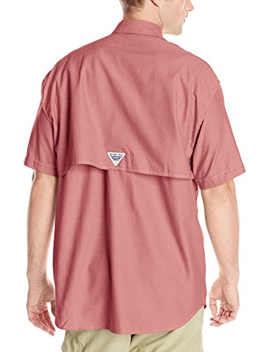 Beet Oxford