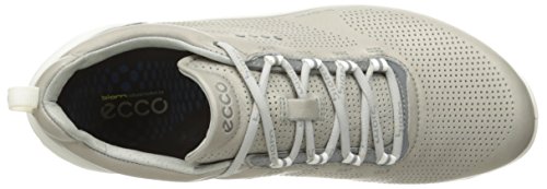 Silver/Grey