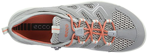 Silver/Grey