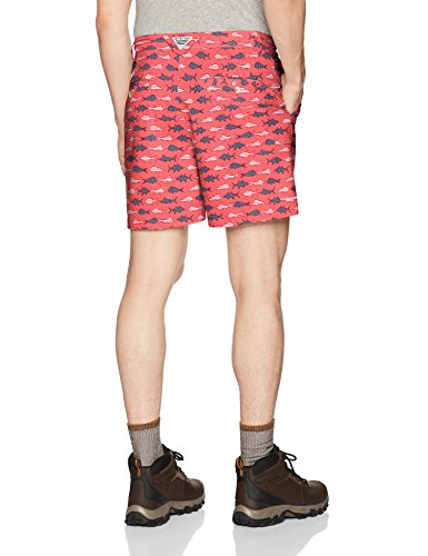 Sunset Red Americana Fish Print