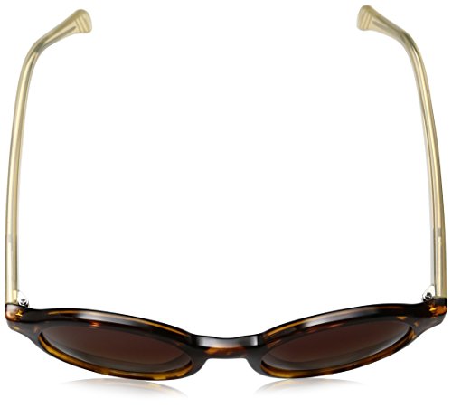 Tortoise/Brown Gradient