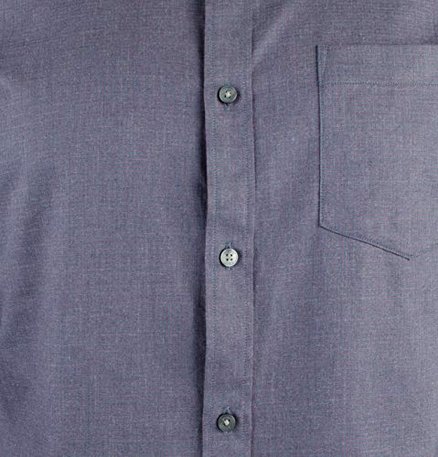 Fig Purple