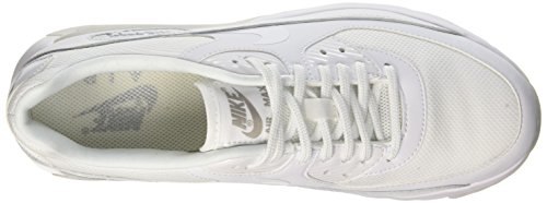 White/Metallic Silver