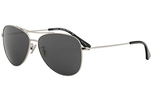 Shiny Silver/Dark Grey Solid