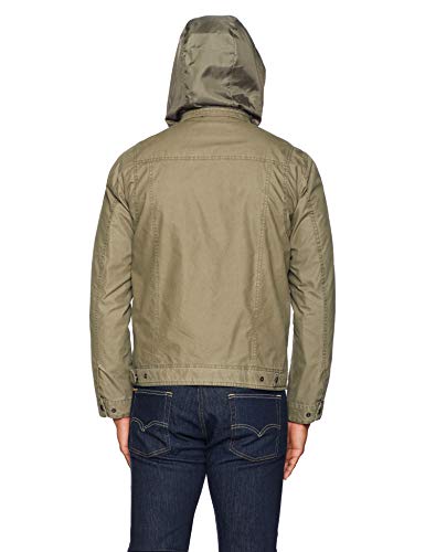 Light Olive