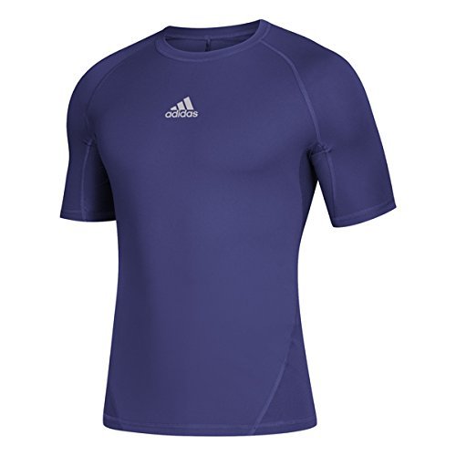 Collegiate Purple