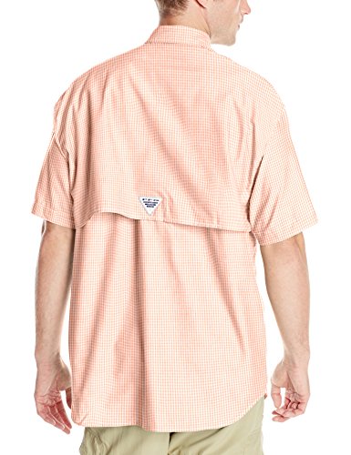 Sorbet Gingham
