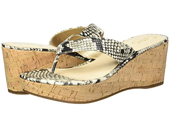 Ivory Amazon Python