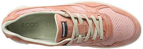 Coral Blush/Coral