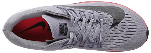 Grey (Provence Purple/Light Carbon/Solar Red/Black 516)