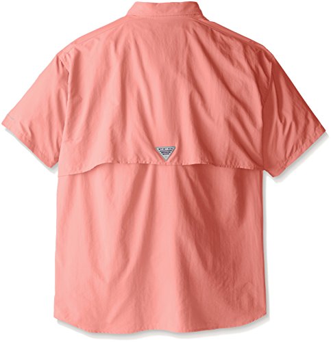 Sorbet