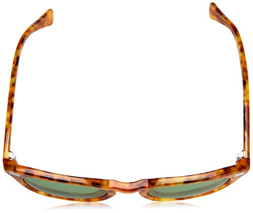 Honey Tortoise