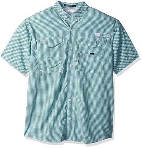 Teal Gingham