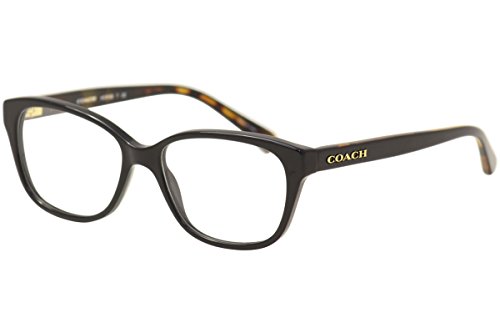 Black / Black Tortoise