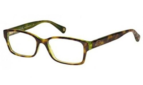 Tortoise / Green