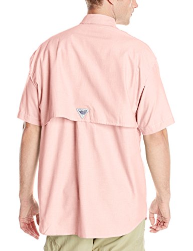 Sorbet Oxford