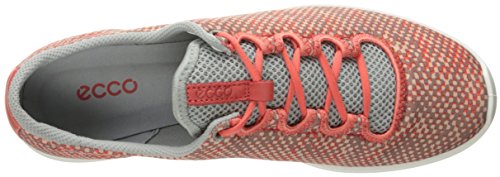 Coral Bush/Concrete/Coral Bush