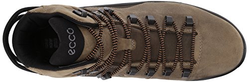 Navajo Brown/Birch