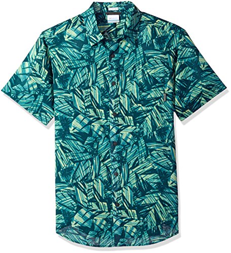 Teal Palm Print