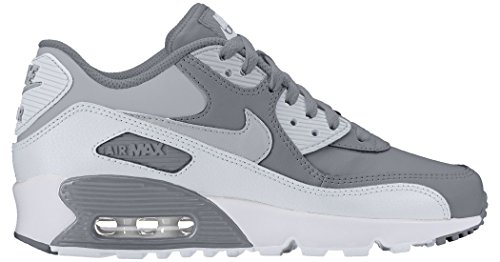 Cool Gray/Wolf Gray/Platinum White
