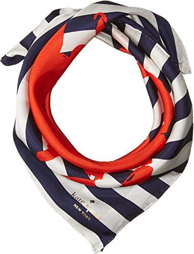 French Navy