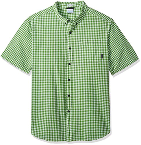 Spring Gingham