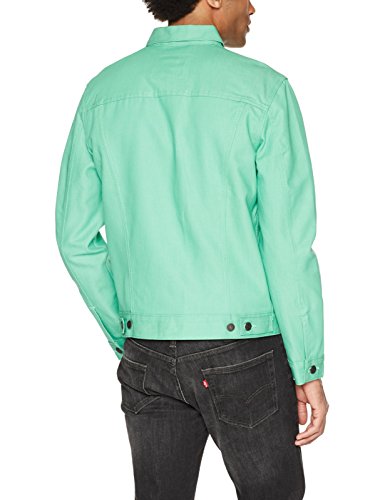 Spring Mint Crispy