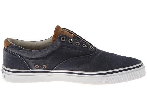 Blue/Navy
