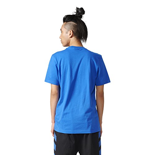 Blue Bird/White