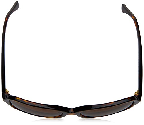 Brown & Dark Tortoise