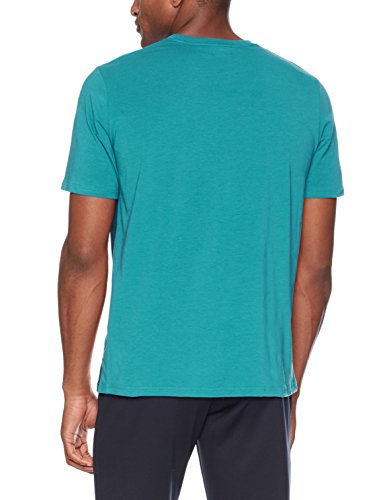 Swallowtail (381)/Loft Teal