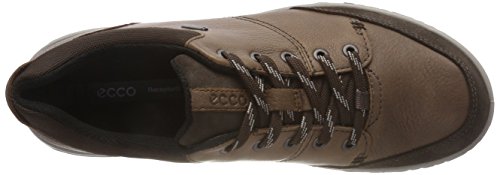 Cocoa Brown/Licorice Ely