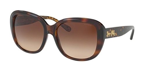 Dark Tortoise Gold Signature C/Smoke Gradient